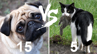 Illustration for article titled Dog Name Database Finally Proves Bernie Would've Won